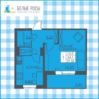 Планировка (1-комн. квартира) в ЖК Белые росы, Пермь #397