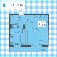 Планировка (1-комн. квартира) в ЖК Белые росы, Пермь #396